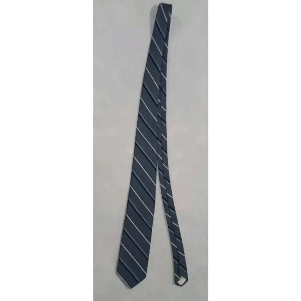 Vintage Prince Consort Golden Clasp Mens Tie Necktieck Blue Stripes